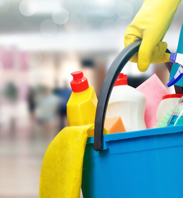 Cleaning lady with a bucket and cleaning products on blurred background.